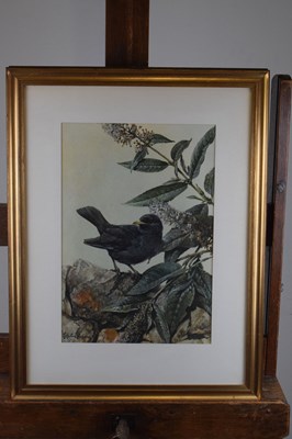 Lot 540 - Edwin Penny (1930-2016)