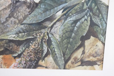Lot 540 - Edwin Penny (1930-2016)