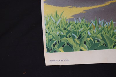Lot 260 - Circa 1950s Ceylon Tea poster, 'Plucking tea in Ceylon'