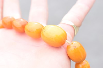 Lot 37 - String of graduated oval butterscotch amber beads