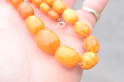 Lot 37 - String of graduated oval butterscotch amber beads
