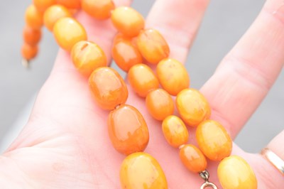Lot 37 - String of graduated oval butterscotch amber beads