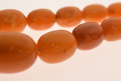 Lot 37 - String of graduated oval butterscotch amber beads