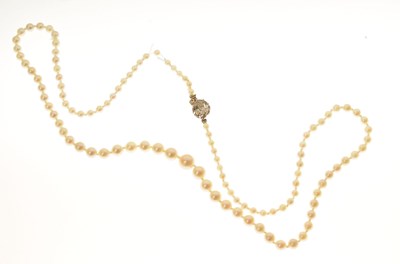 Lot 42 - Pearl necklace with yellow diamond clasp