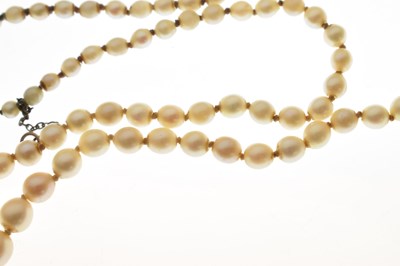 Lot 43 - Edwardian graduated pearl double string necklace with sapphire set clasp