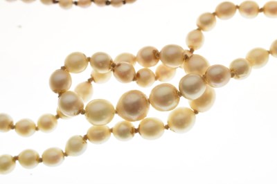Lot 43 - Edwardian graduated pearl double string necklace with sapphire set clasp