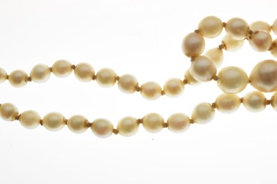 Lot 43 - Edwardian graduated pearl double string necklace with sapphire set clasp