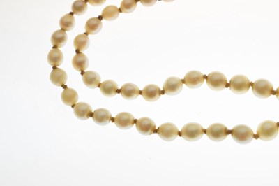Lot 43 - Edwardian graduated pearl double string necklace with sapphire set clasp