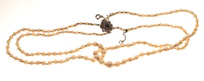 Lot 43 - Edwardian graduated pearl double string necklace with sapphire set clasp