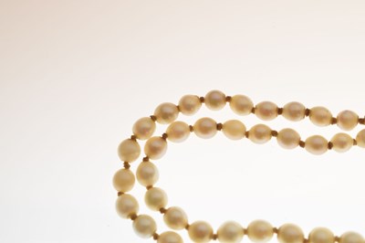 Lot 43 - Edwardian graduated pearl double string necklace with sapphire set clasp