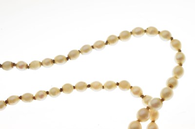 Lot 43 - Edwardian graduated pearl double string necklace with sapphire set clasp