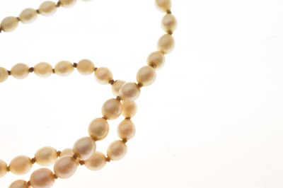 Lot 43 - Edwardian graduated pearl double string necklace with sapphire set clasp