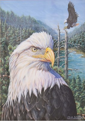Lot 618 - David A. Scott (Contemporary) - Gouache - Eagles