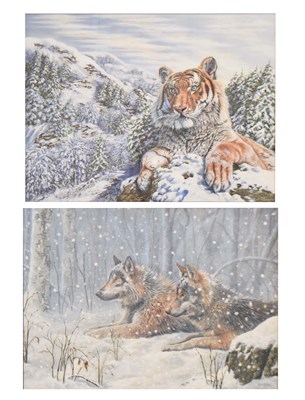 Lot 619 - David A. Scott (Contemporary) - Two gouaches - Wolves, and tiger