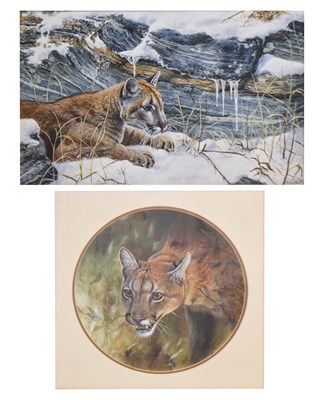 Lot 620 - David A. Scott (Contemporary) - Gouache and Oil on canvas - Puma / cougar