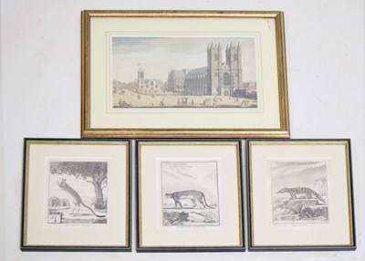 Lot 608 - Three 19th century natural history engravings from Georges-Louis Leclerc's 'Histoire Naturelle'