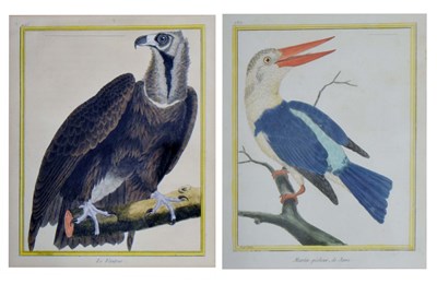 Lot 607 - After François-Nicolas Martinet - Two 19th century hand-coloured naturalist bird engravings