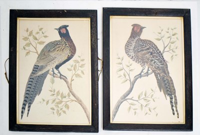 Lot 388 - Pair of 19th century ornithological feather pictures depicting a pheasant cock and hen