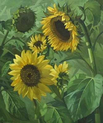 Lot 417 - Cecile Crombeke (1921-2002) - Oil on board - Sunflowers